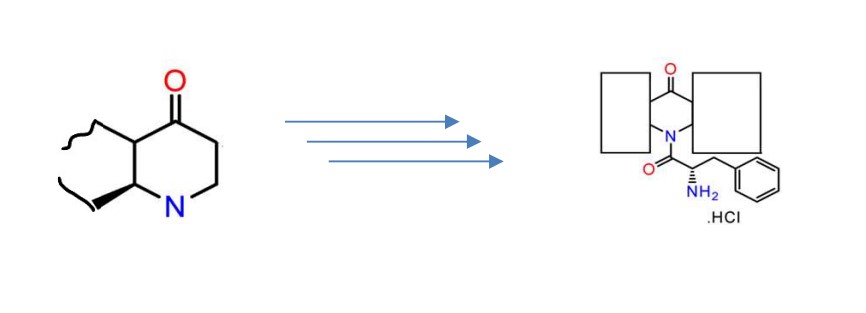 Process Development and Supply of Clinical API