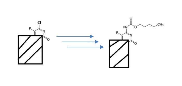 Reactor Customization & Process Development using Flow Technology