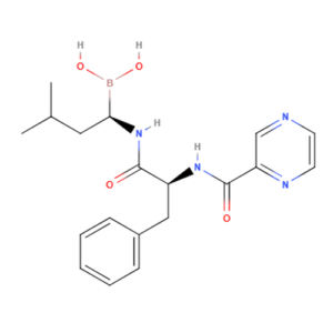 Bortezomib