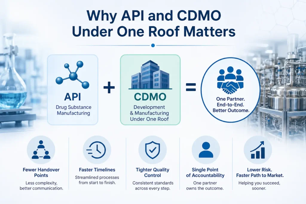 API and CDMO Explaination